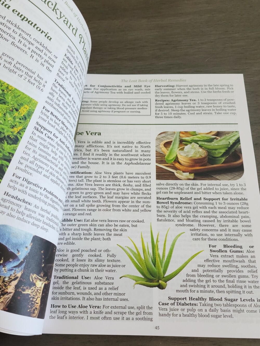 The Lost Book Of Herbal Remedies - Picture 2 of 3